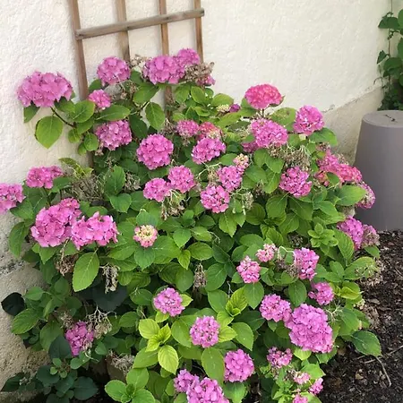 Hyper Centre Beau Soleil Fontainebleau