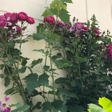 Hyper Centre Beau Soleil *