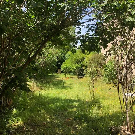 Apartamento Hyper Centre Beau Soleil *